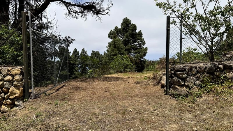 Land in San Pedro de Daute - view 1