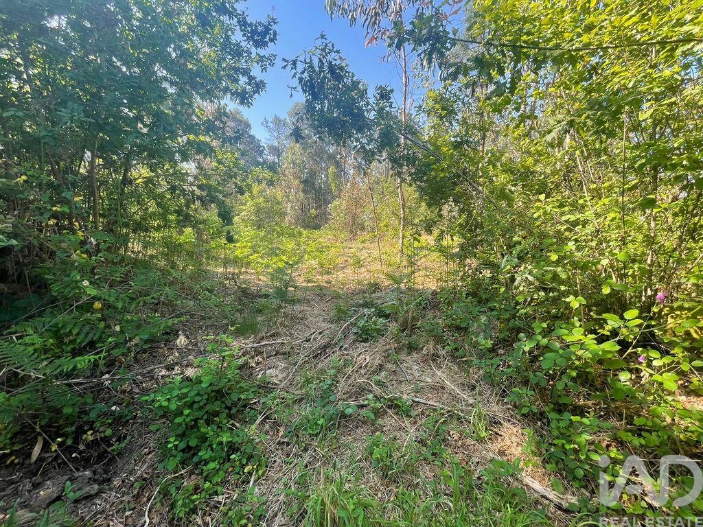 Land in Viana do Castelo