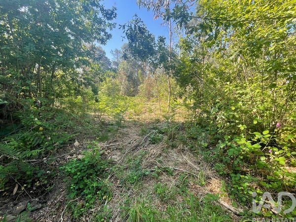 Land in Viana do Castelo - view 1