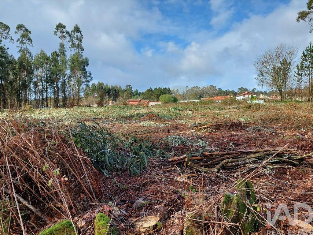 Land in Viana do Castelo - Image 3