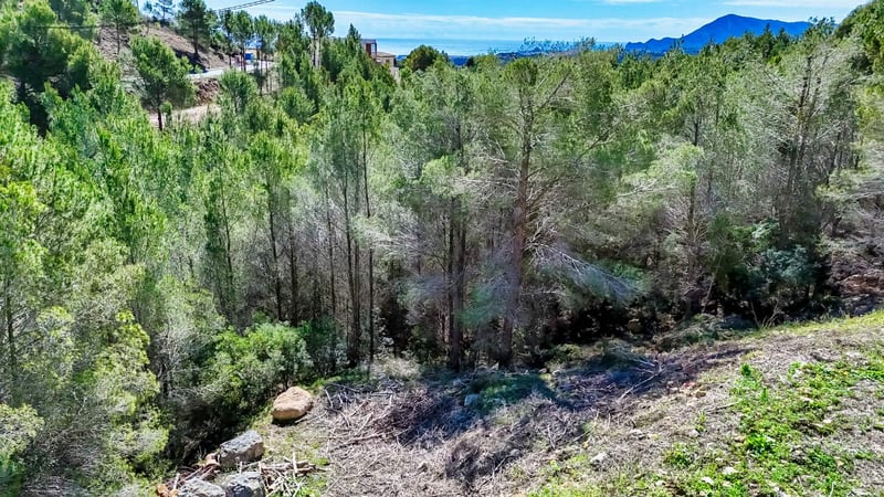 House in Callosa d'En Sarria - view 1