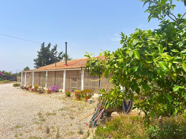 House in Lo Jorge - view 1