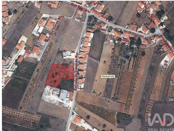 Land in Aljubarrota - view 1