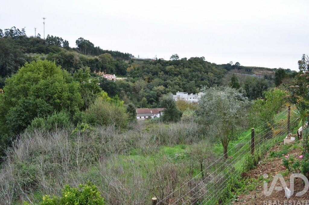 Land in Vestiaria - Image 2