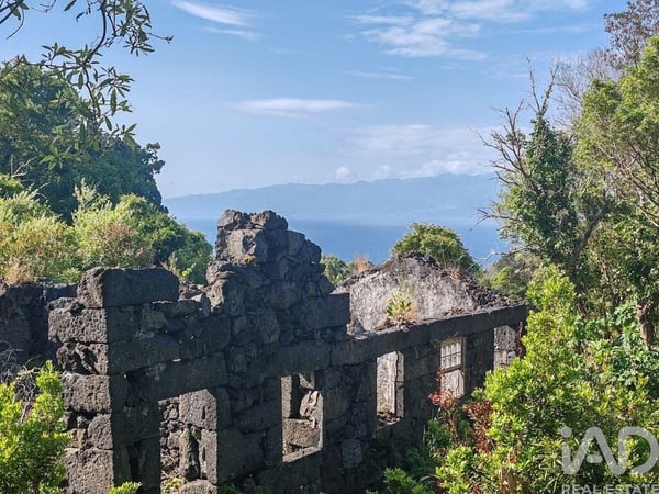 House in Ribeirinha - view 1
