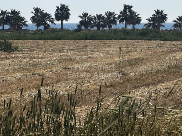 Land in Ayia Napa - view 1