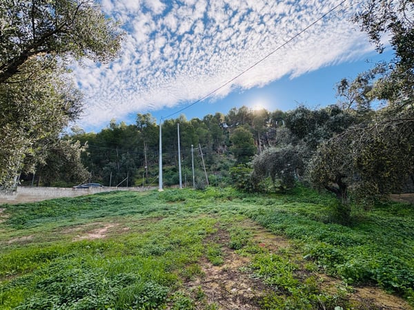 Land in Santo Angel - view 1