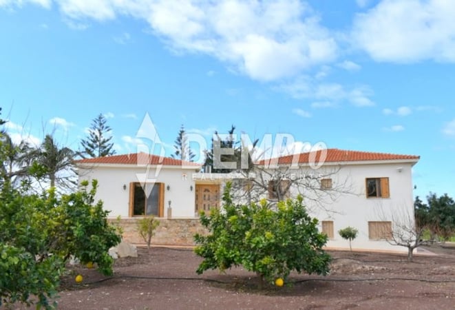 Villa in Pegeia - view 1