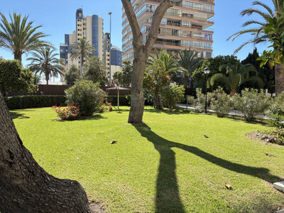 Apartment in La Condomina - view 1