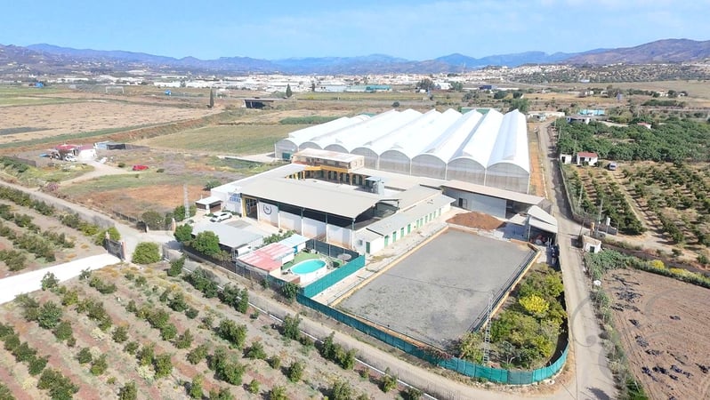 House in Torre del Mar - view 1