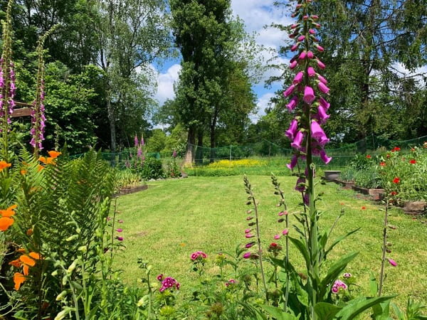 House in Chanteloup - view 1