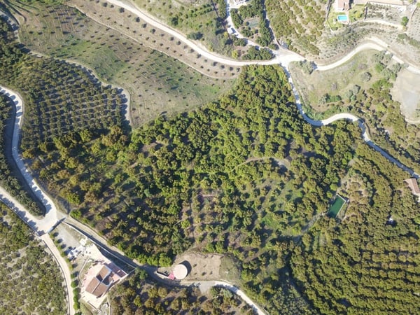 Land in Frigiliana - view 1