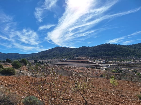 Land in Las Encebras - view 1