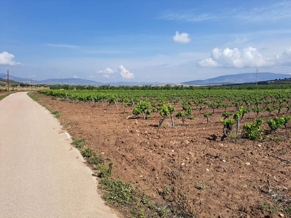 Land in Pinoso - view 1