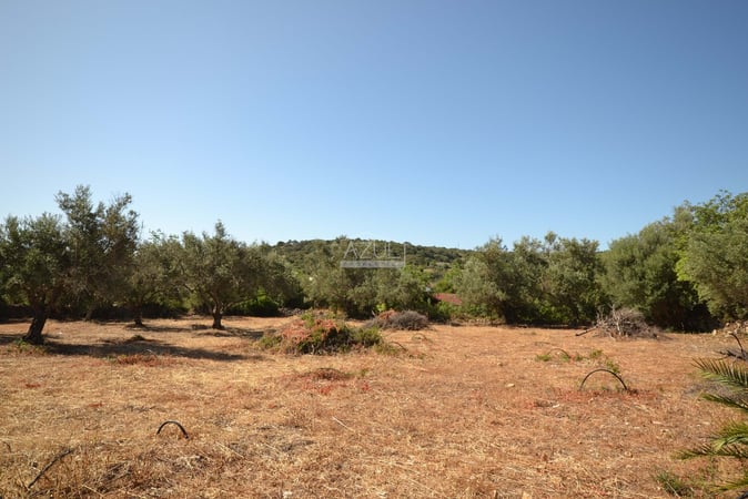 Land in Loule - view 1