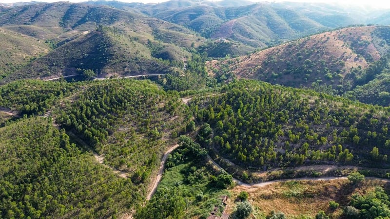 Land in Santa Ana da Serra - view 1
