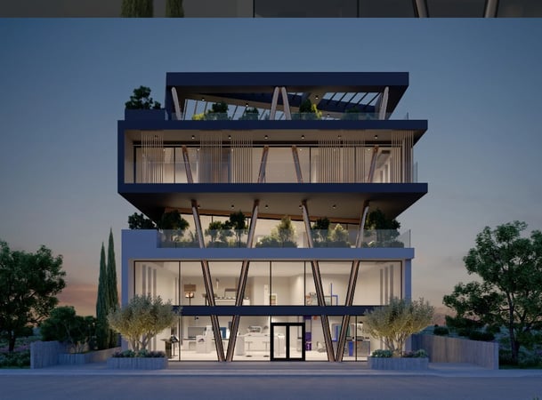 House in Panagia Evangelistria (Polemidhia) - view 1