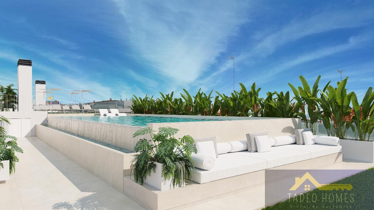 Apartment in Guardamar del Segura - Image 2