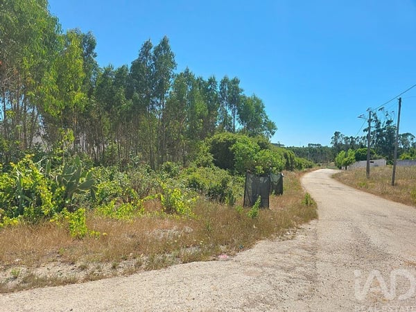 Land in Lourinha - view 1