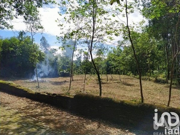 Land in Seixas - view 1