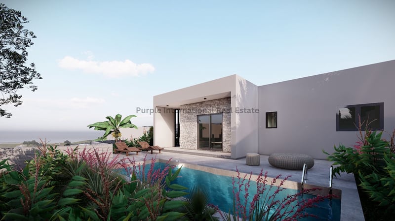 House in Pegeia - view 1