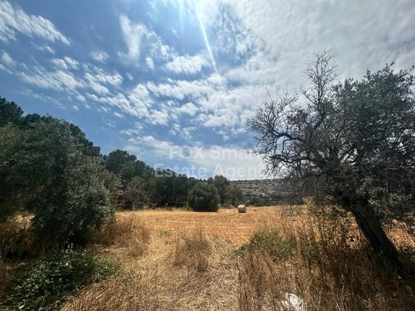 Land in Agios Tychon - view 1