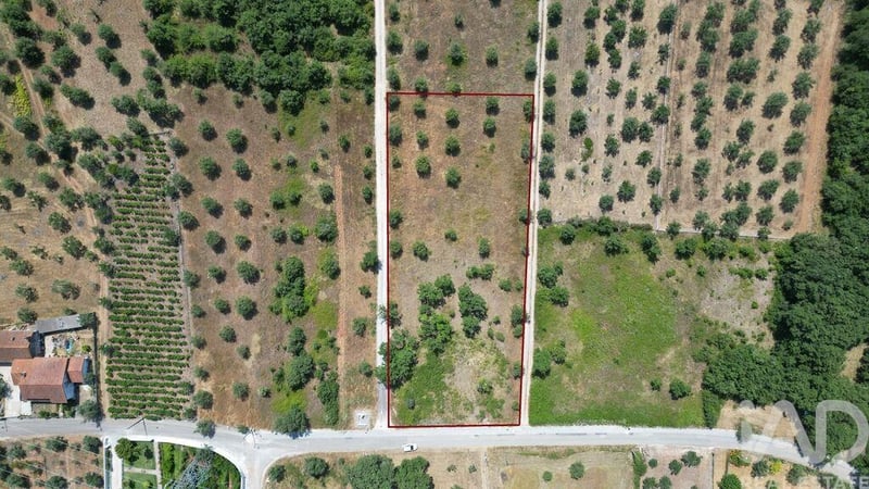 Land in Chao de Couce - view 1