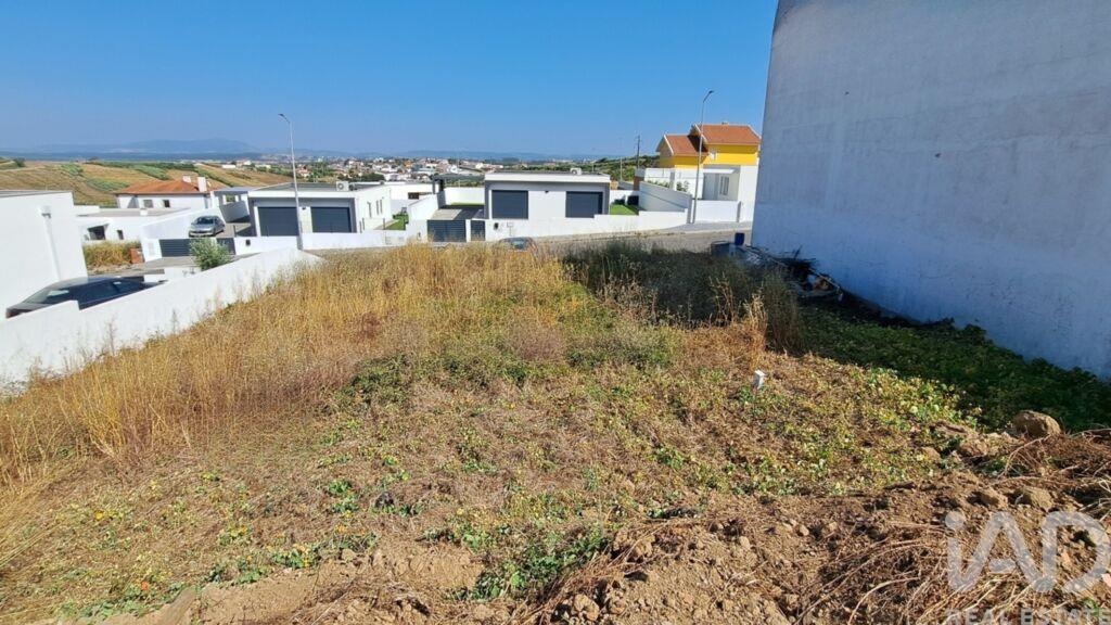 Land in Lourinha - Image 3