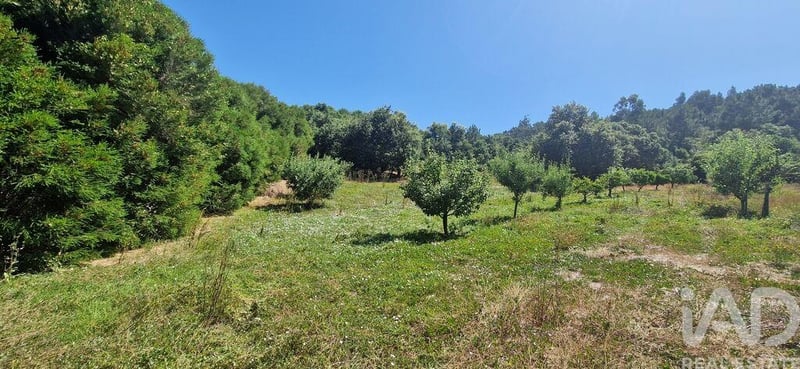 Land in Azueira - view 1