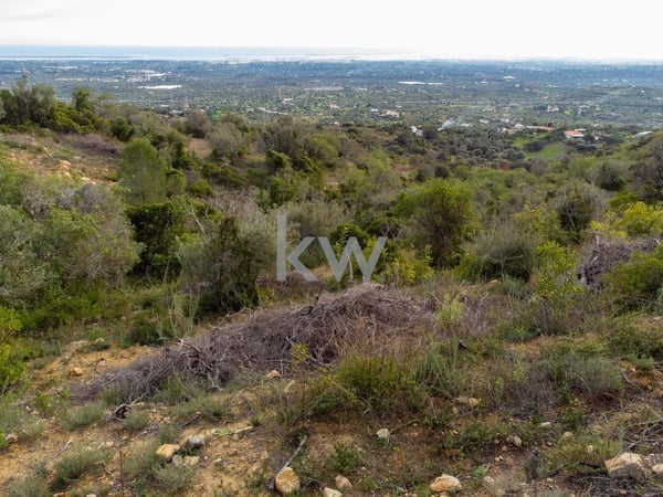 Land in Faro - view 1