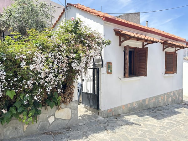 House in Limenaria - view 1