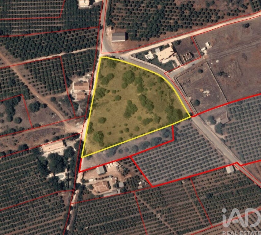 Land in Silves