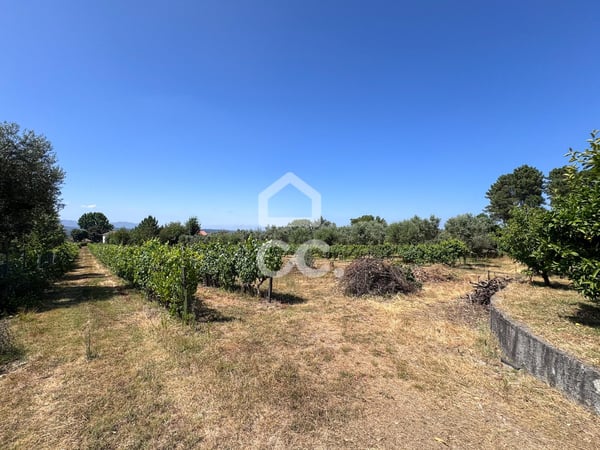 Land in Laje - view 1