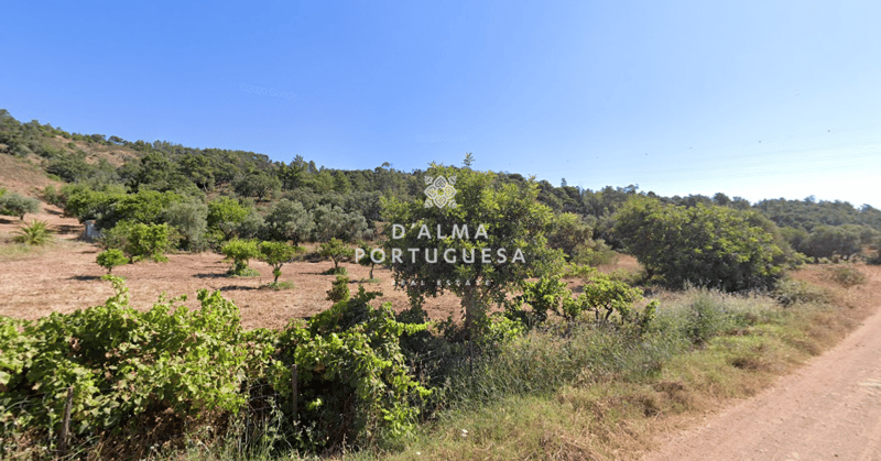 Land in Sao Bras de Alportel - view 1