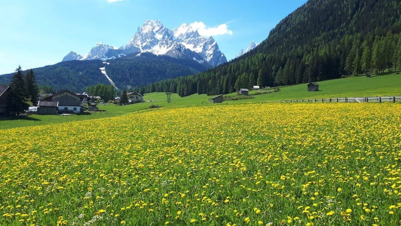 Apartment in Sesto/Sexten - view 1