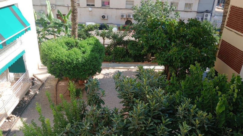 Apartment in Benidorm - view 1