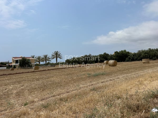 Land in Pegeia - view 1