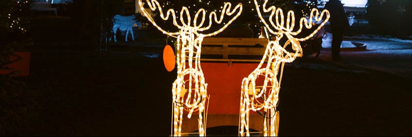 Winterliche Stadtführung - Rundgang durchs Städtle am 27.12.25