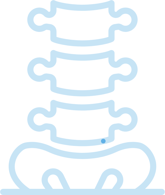 Spine diagram