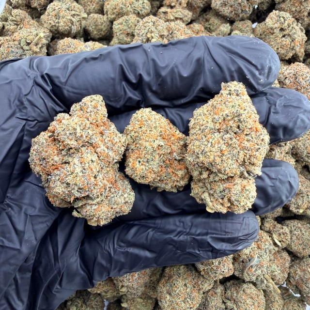 Black Ice THCa flower nug