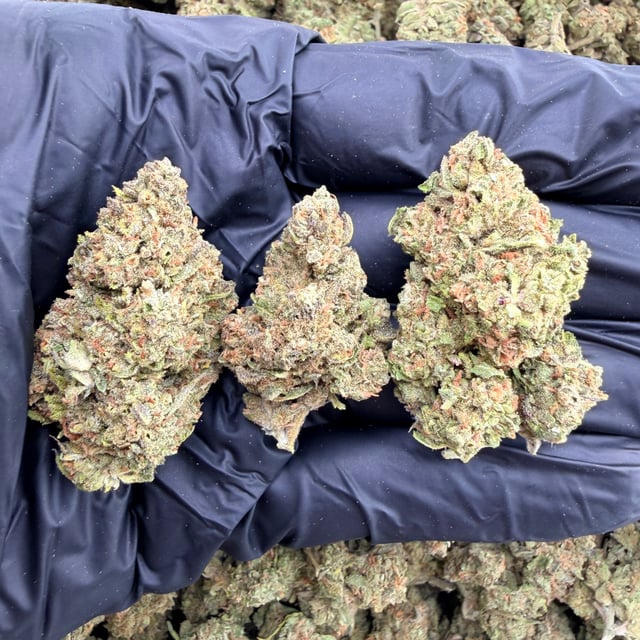 Cadillac Rainbow THCa flower nug
