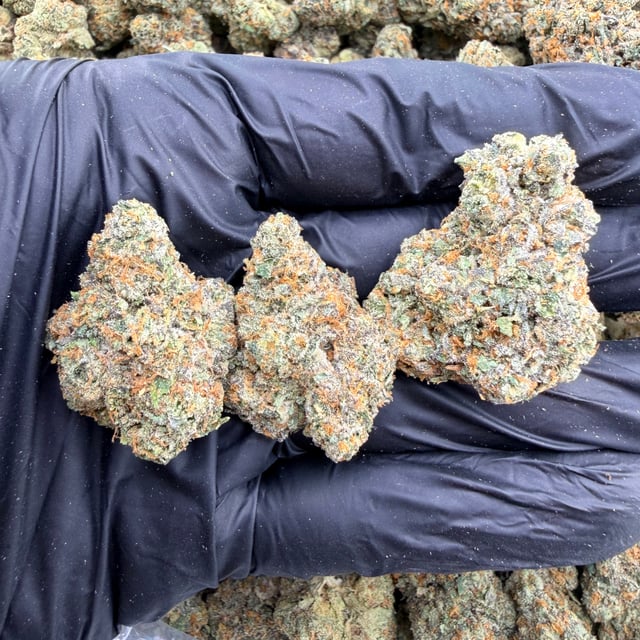 Candy 33 THCa flower nug
