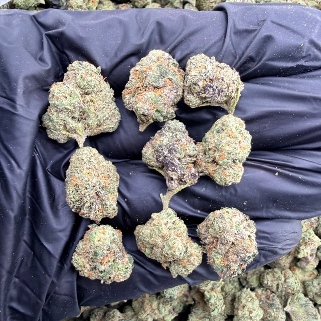 Candy Truffle THCa flower nug