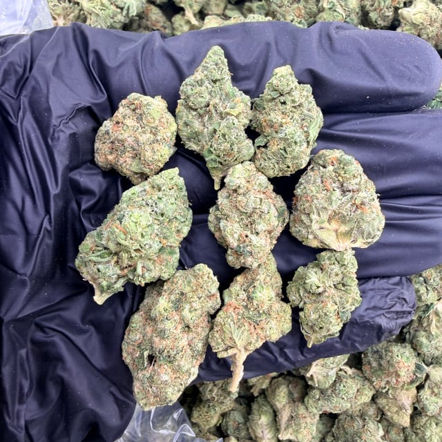 Caviar Gold THCa flower nug