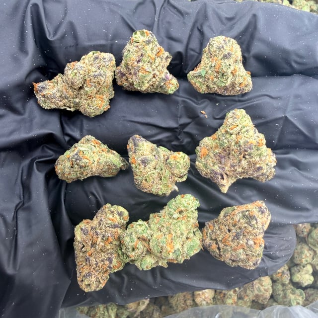 Cheetah Piss THCa flower nug