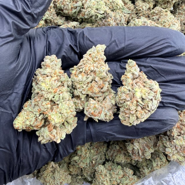 Frosted Donutz THCa flower nug