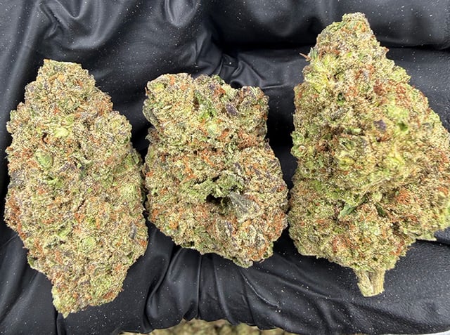 Gelato THCa flower nug