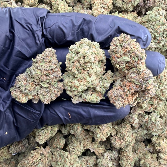 Glue Drop THCa flower nug