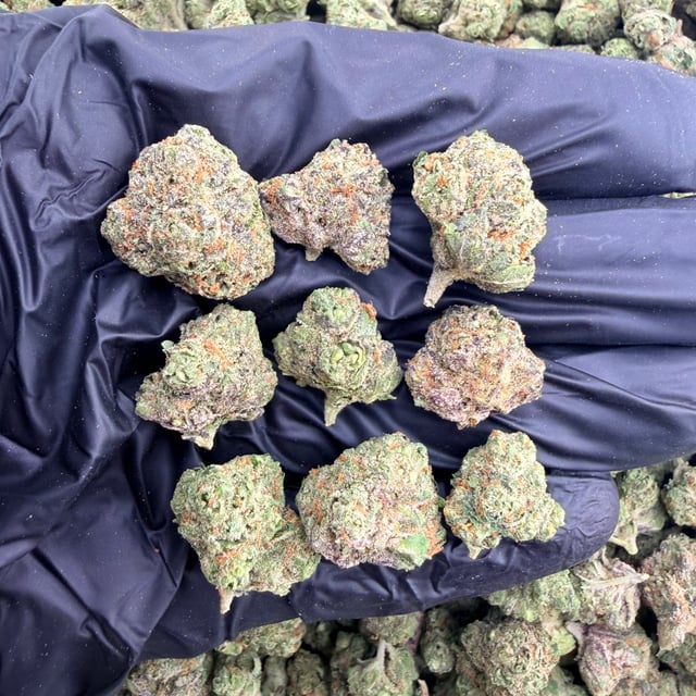 Grape Gas THCa flower nug