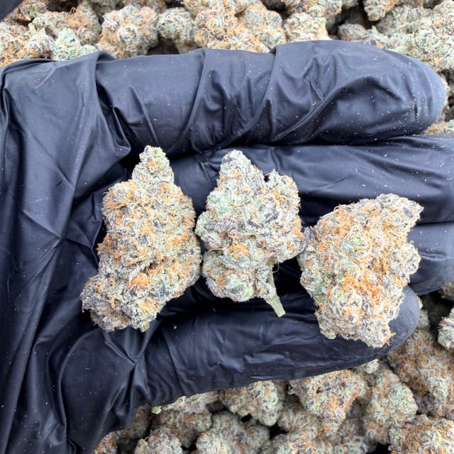 Italian Ice THCa flower nug